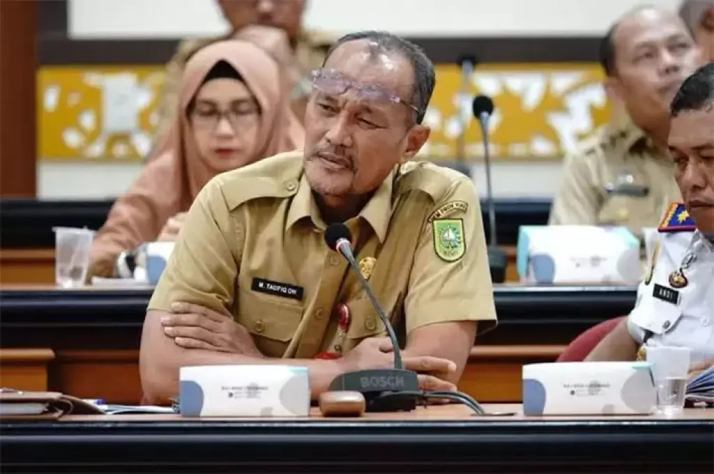 Peningkatan Akses Keuangan di Riau: TPAKD Siapkan Program Inklusi Keuangan untuk 2025