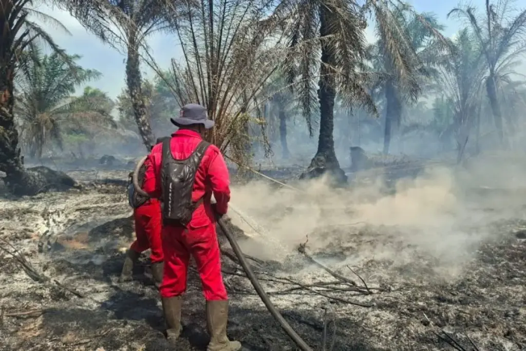 Manggala Agni Masih Padamkan Karhutla Seluas 45 Hektare di Pelalawan dan Inhu