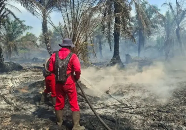 Manggala Agni Masih Padamkan Karhutla Seluas 45 Hektare di Pelalawan dan Inhu