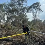 Polisi Tangkap Tersangka Pembakar Lahan di Kawasan Hutan Kerumutan