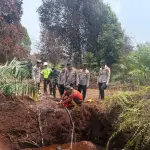 Karhutla 30 Hektare di TN Zamrud Siak Berhasil Dipadamkan, Tim Gabungan Lanjutkan Patroli