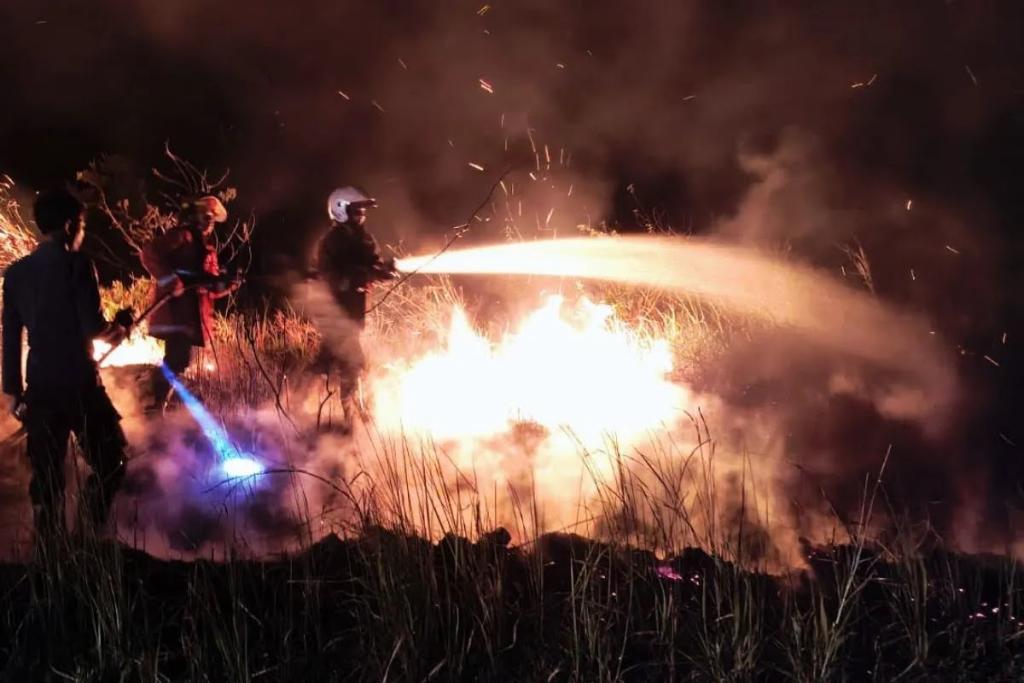 Berlangsung Selama Tiga Jam, Kebakaran Lahan Seluas 50 Ha di Natuna Berhasil Dipadamkan