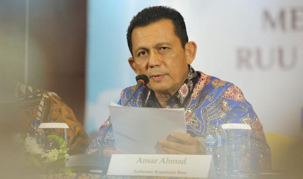Gubernur Kepri Sarankan Penundaan Kenaikan Tarif Pas Pelabuhan SBP, Ini Alasannya
