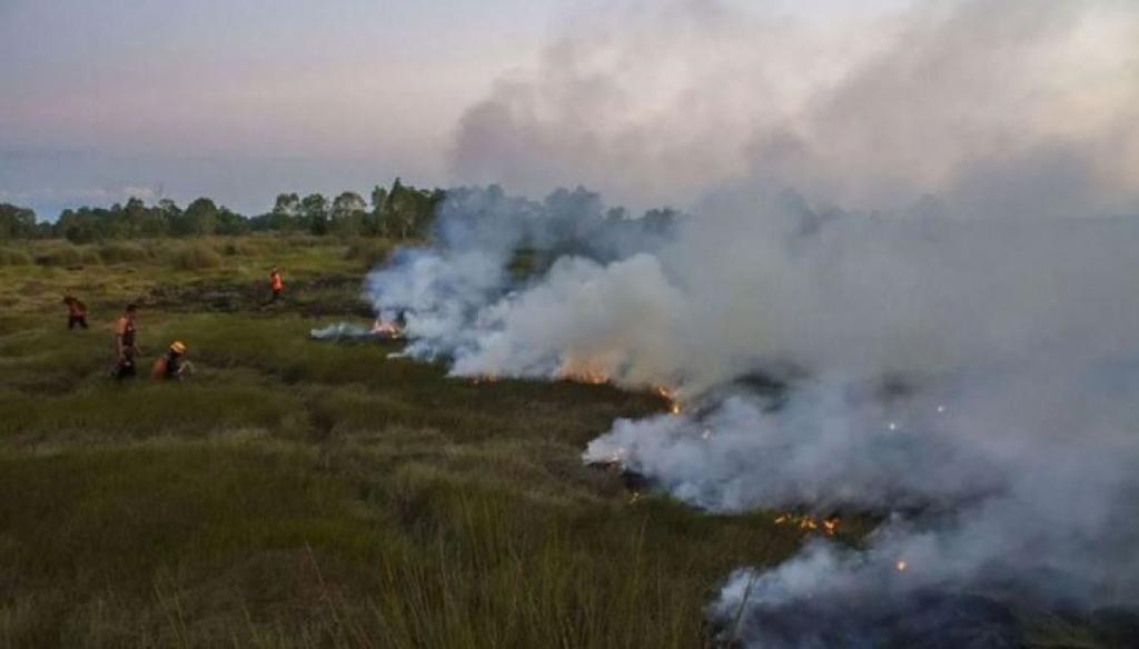 Karhutla Mulai Meningkat, Manggala Agni Dikerahkan di Sejumlah Wilayah Sumatera