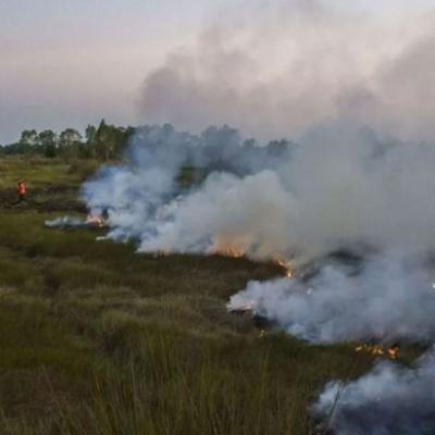 46 Titik Panas Terdeteksi di Riau, Inhil Paling Banyak