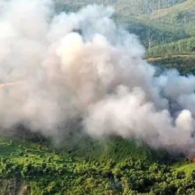 BMKG Deteksi 9 Titik Panas di Sumatera Hari ini, 1 Hotspot di Pekanbaru
