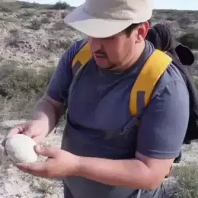 Ilmuwan Temukan Telur Dinosaurus seperti Baru Keluar dari Induk