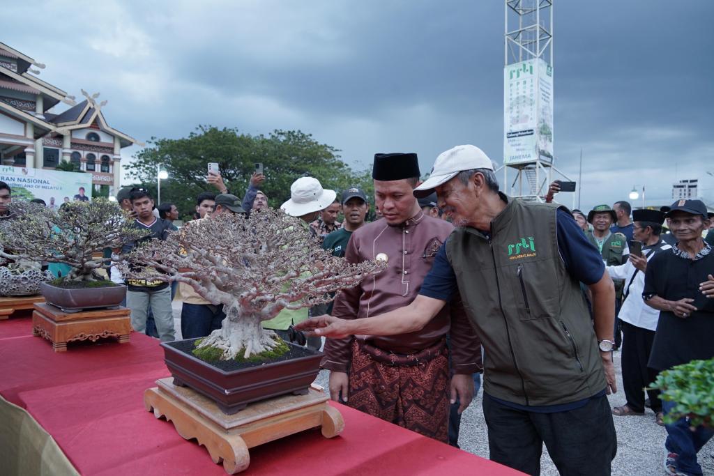 Melihat Pameran Bonsai di Pekanbaru, Ajang Kreativitas dalam Semangat Menjaga Kelestarian Lingkungan