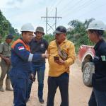 Kemunculan Harimau di Siak Wajar, BBKSDA: Habitat Masih Terjaga