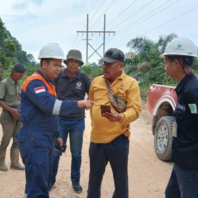 Kemunculan Harimau di Siak Wajar, BBKSDA: Habitat Masih Terjaga