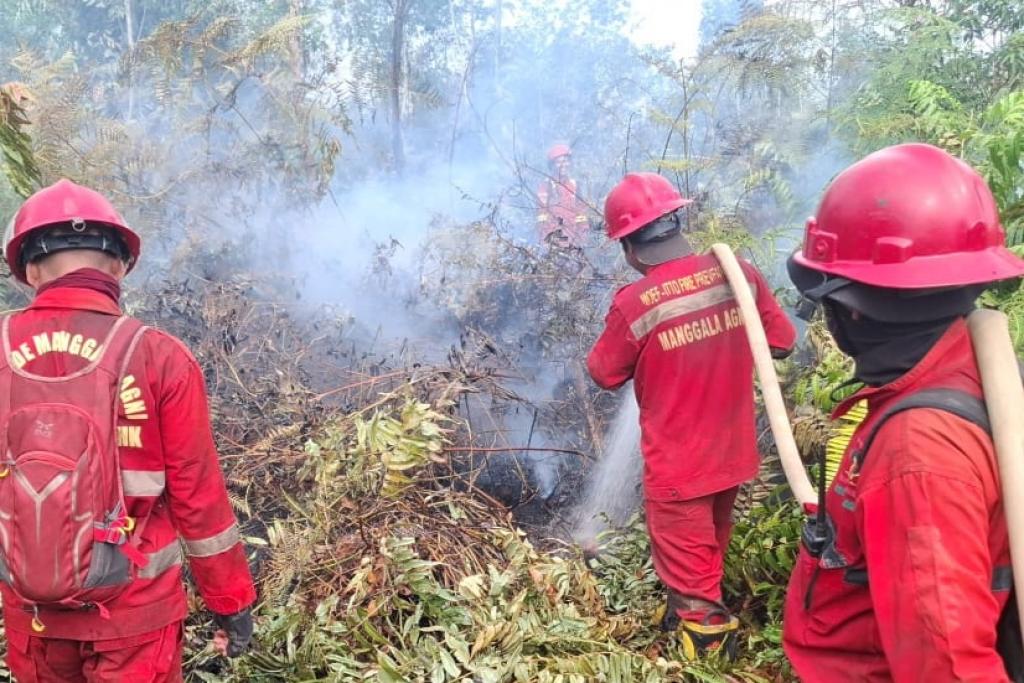 Pemko Pekanbaru Tetapkan Status Siaga Darurat Bencana Karhutla Hingga 30 November