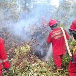 Pemko Pekanbaru Tetapkan Status Siaga Darurat Bencana Karhutla Hingga 30 November