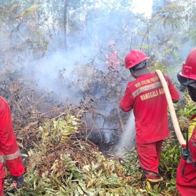 Pemko Pekanbaru Tetapkan Status Siaga Darurat Bencana Karhutla Hingga 30 November