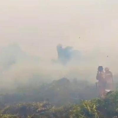 Karhutla Meluas di Bengkalis dan Rohil, Manggala Agni Kerahkan Tiga Regu Pemadam