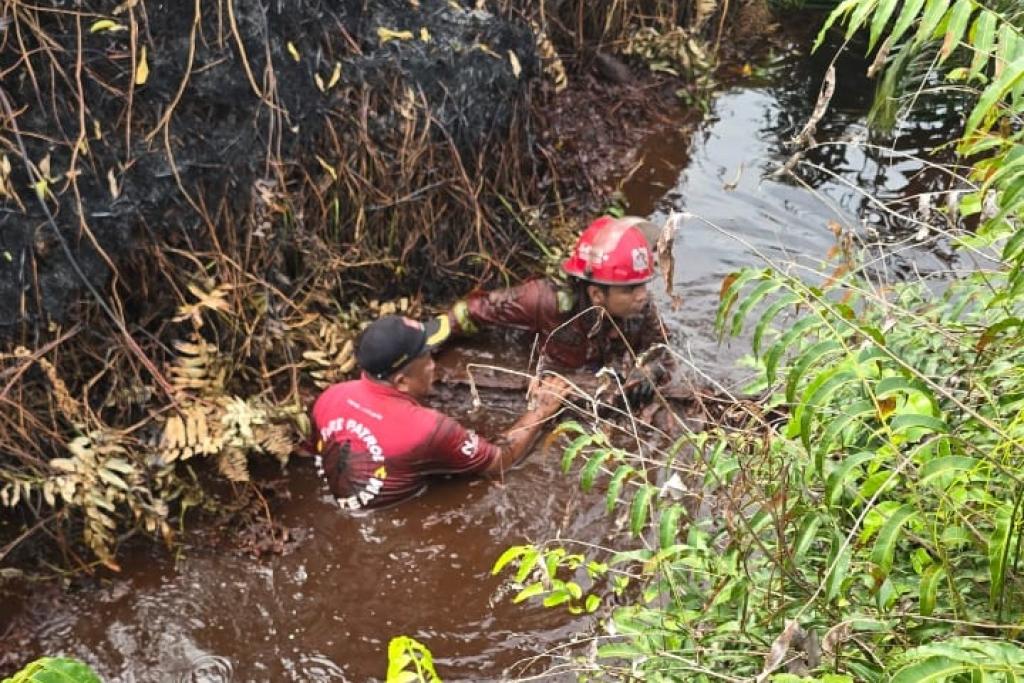 Karhutla Pematang Pudu Masuk Hari Keenam, Manggala Agni Hadapi Krisis Sumber Air