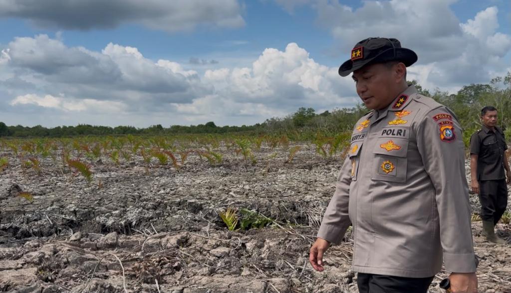 Kapolda Riau Tinjau Perambahan 118 Hektare Kawasan Mangrove di Rohil, Dua Tersangka Ditetapkan
