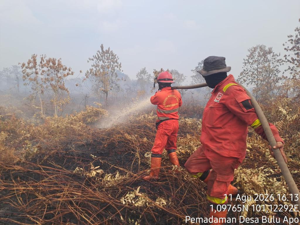 Karhutla Bengkalis: Pematang Pudu Mulai Kondusif, Buluh Apo Masih Belum Terkendali
