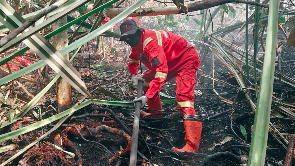 Karhutla di Rengat Masuki Hari ke-11, Tim Gabungan Padamkan 20,9 Hektare Lahan