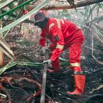 Karhutla di Rengat Masuki Hari ke-11, Tim Gabungan Padamkan 20,9 Hektare Lahan