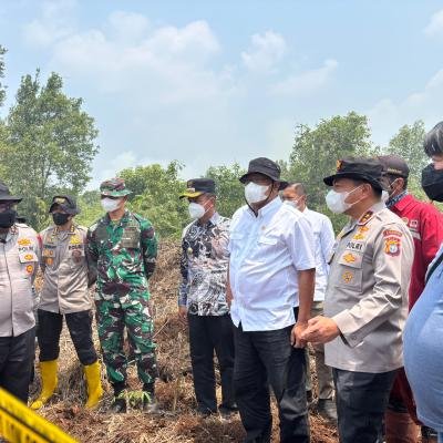 Menteri LH Tinjau Karhutla Kampar, Soroti 335 Perusahaan Konsesi Terindikasi Kebakaran