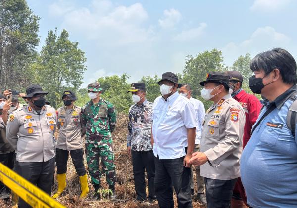 Menteri LH Tinjau Karhutla Kampar, Soroti 335 Perusahaan Konsesi Terindikasi Kebakaran