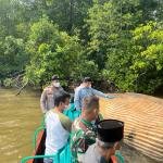 Bangkai Diduga Paus 8 Meter Dipindahkan, KKP Ambil Sampel untuk Identifikasi