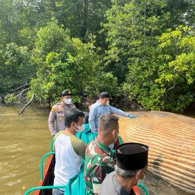 Bangkai Diduga Paus 8 Meter Dipindahkan, KKP Ambil Sampel untuk Identifikasi