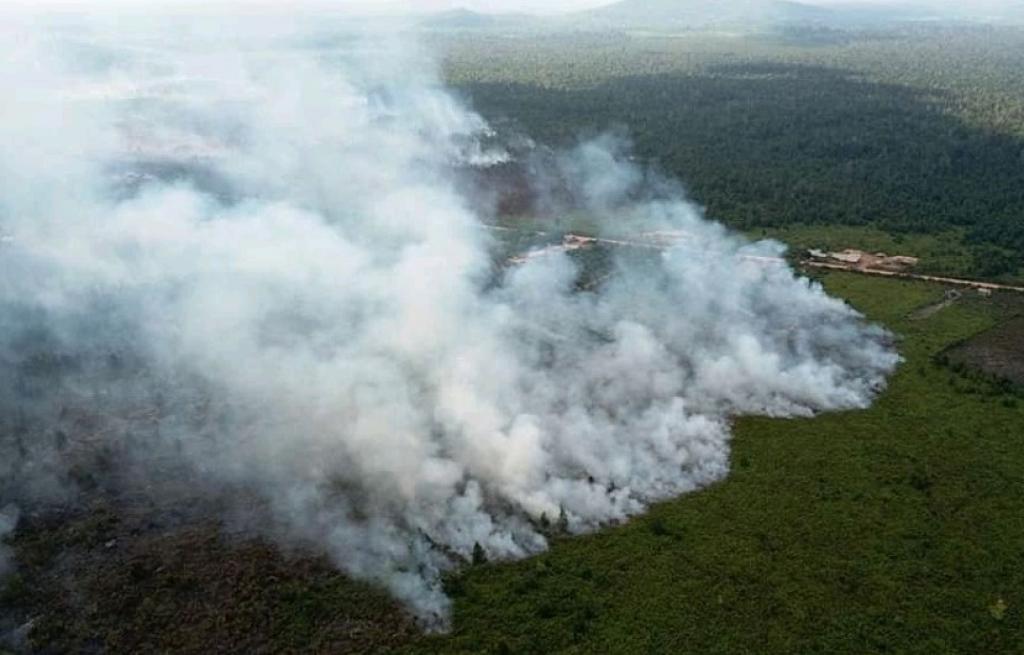 BMKG: 15 Titik Panas Terdeteksi di Sumatera, Riau Nihil