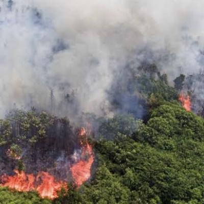 12 Titik Panas Menyala di Riau Hari ini, Pelalawan Paling Banyak