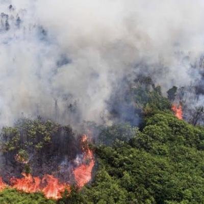 BMKG Catat 119 Titik Panas di Sumatera, Riau Terdeteksi 4 Hotspot