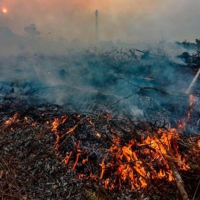 LAMR Keluarkan Warkah Petuah Amanah untuk Cegah Karhutla