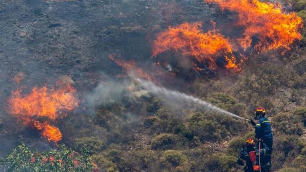 Hotspot di Sumatera Menurun: Riau Nihil, Kepri dan Babel Banyak Titik Panas