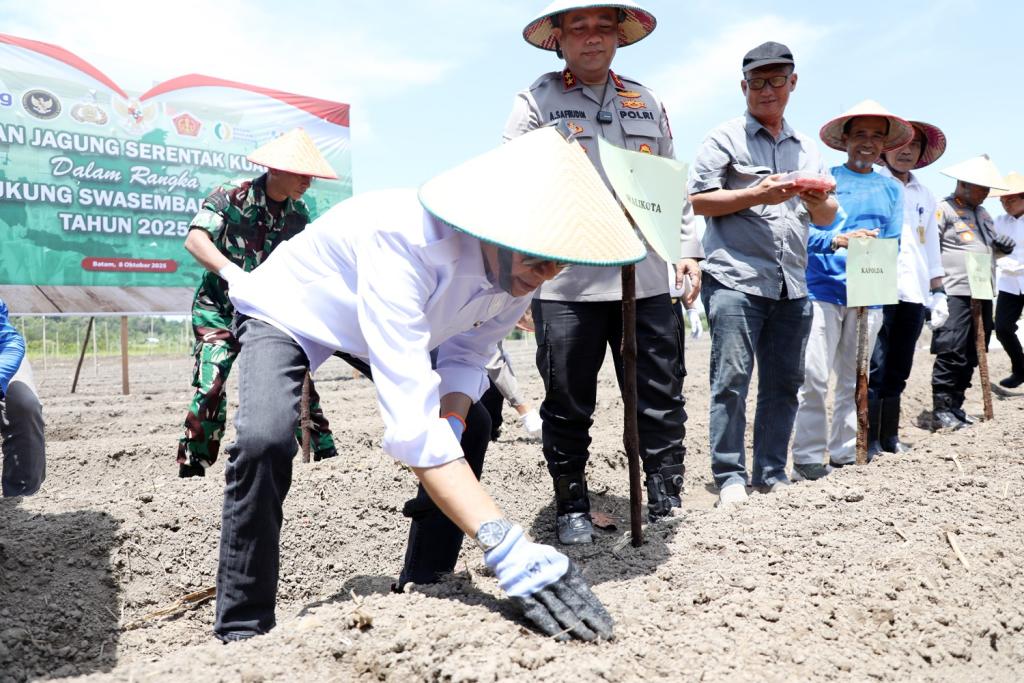 Amsakar Achmad Tanam Jagung Serentak Dukung Ketahanan Pangan Nasional
