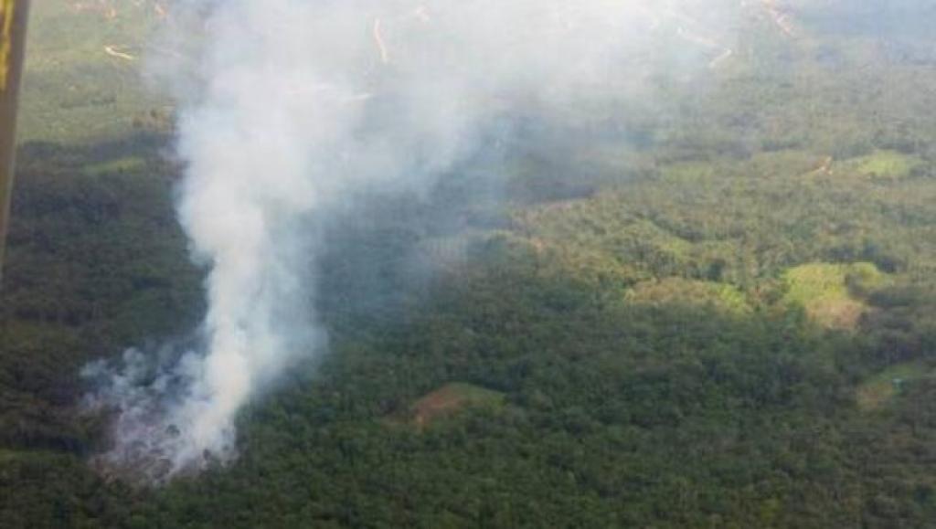 Hanya Satu Titik Panas Terdeteksi di Riau, BMKG: Sumatera Total 15 Hotspot