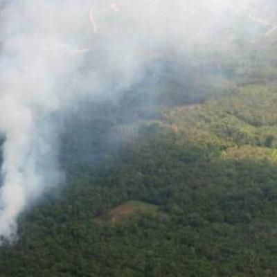 Hanya Satu Titik Panas Terdeteksi di Riau, BMKG: Sumatera Total 15 Hotspot