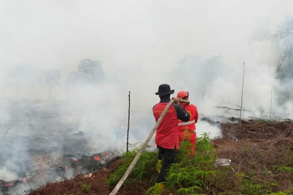 Warga Pekanbaru Diimbau Tak Bakar Lahan di Musim Kemarau