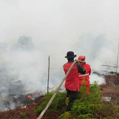 Warga Pekanbaru Diimbau Tak Bakar Lahan di Musim Kemarau