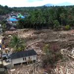 Data Terbaru BNPB: Korban Tewas Bencana Sumatera Tembus 1.198 Orang