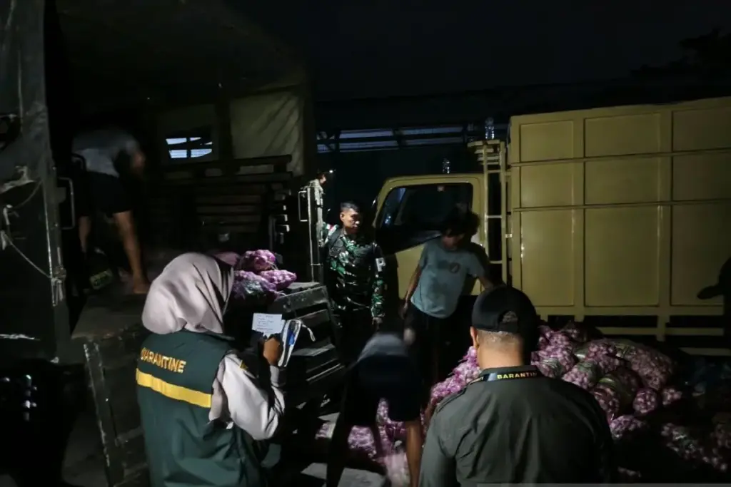 Ratusan Karung Bawang Impor Ilegal Diamankan di Natuna