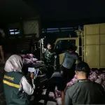 Ratusan Karung Bawang Impor Ilegal Diamankan di Natuna