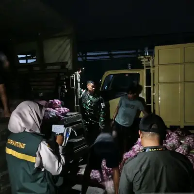 Ratusan Karung Bawang Impor Ilegal Diamankan di Natuna