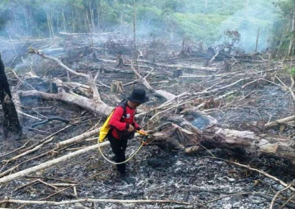 BMKG Catat 65 Titik Panas di Sumatera, Riau Sumbang 8 Hotspot
