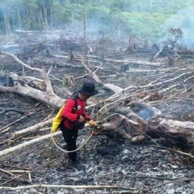 BMKG Catat 65 Titik Panas di Sumatera, Riau Sumbang 8 Hotspot