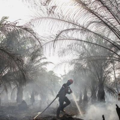 DPRD Pekanbaru Minta Warga Tak Bakar Lahan di Tengah Cuaca Kering