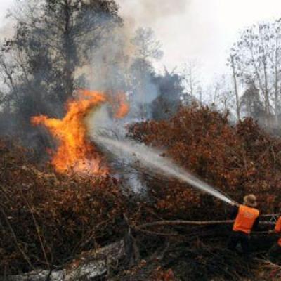 Pemkab Pelalawan Siapkan Sistem Rayonisasi untuk Lawan Karhutla