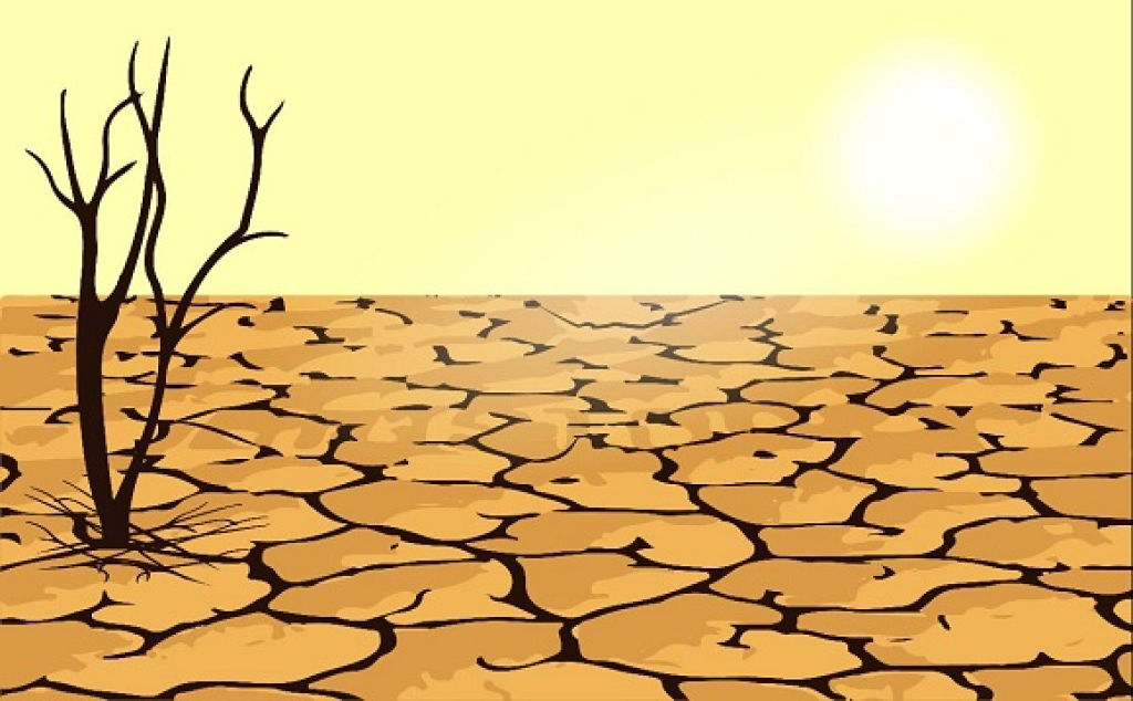 BMKG Ungkap Penyebab Kekeringan di Kepri, Warga Diimbau Waspadai Kebakaran Lahan