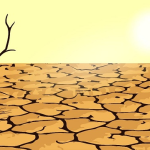 BMKG Ungkap Penyebab Kekeringan di Kepri, Warga Diimbau Waspadai Kebakaran Lahan