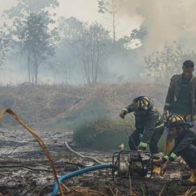Nihil Hotspot di Riau, Sumatera Catat 4 Titik Panas Hari ini