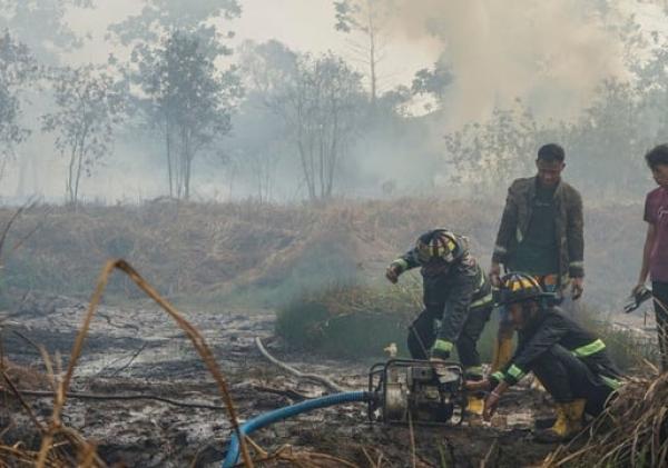 Dua Warga Jadi Tersangka Karhutla 4 Hektare di Bengkalis