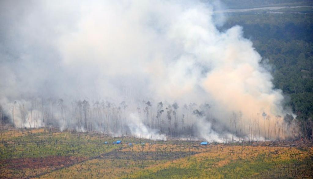 Begini Langkah Gubri Abdul Wahid Hadapi Karhutla di Riau